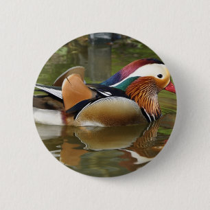 Macaron Rond 5 Cm canard mandarin