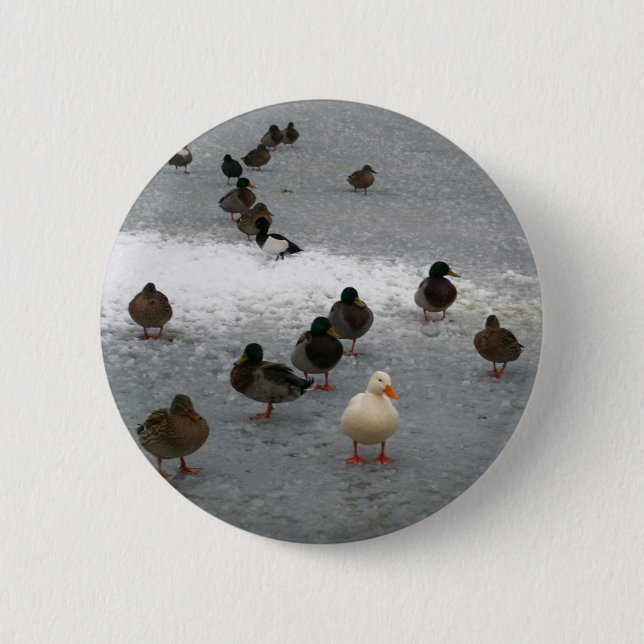 Macaron Rond 5 Cm Canards sur la glace (Devant)