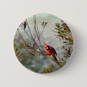Macaron Rond 5 Cm Cardinal de Wax Myrtle
