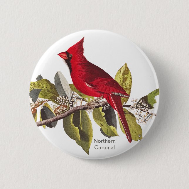 Macaron Rond 5 Cm Cardinal du Nord, John James Audubon, Red Bird, (Devant)