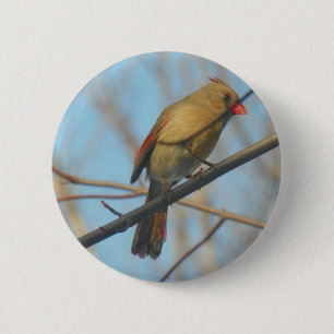 Macaron Rond 5 Cm Cardinal/Oiseau féminin