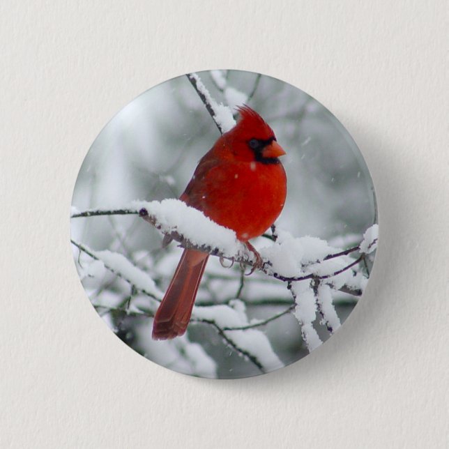 Macaron Rond 5 Cm Cardinal rouge dans le bouton de neige (Devant)