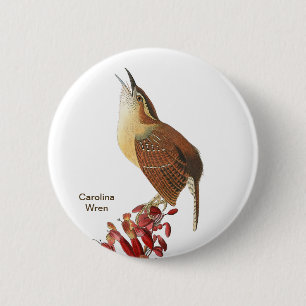 Macaron Rond 5 Cm Carolina Wren, Audubon, Jardin Birdwatcher Bird