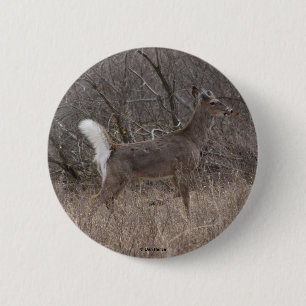 Macaron Rond 5 Cm Cerf à queue blanche D1