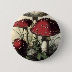 Macaron Rond 5 Cm Champignon de Muscarius d'agaricus