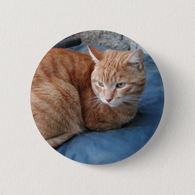 Macaron Rond 5 Cm Chat beige (Devant)