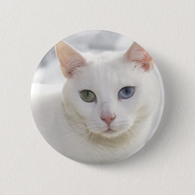 Macaron Rond 5 Cm chat blanc aux yeux étranges (Devant)