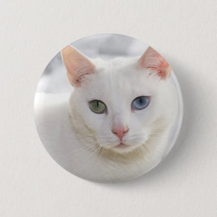 Macaron Rond 5 Cm chat blanc aux yeux étranges