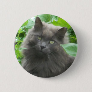 Macaron Rond 5 Cm Chat bleu russe gris-long