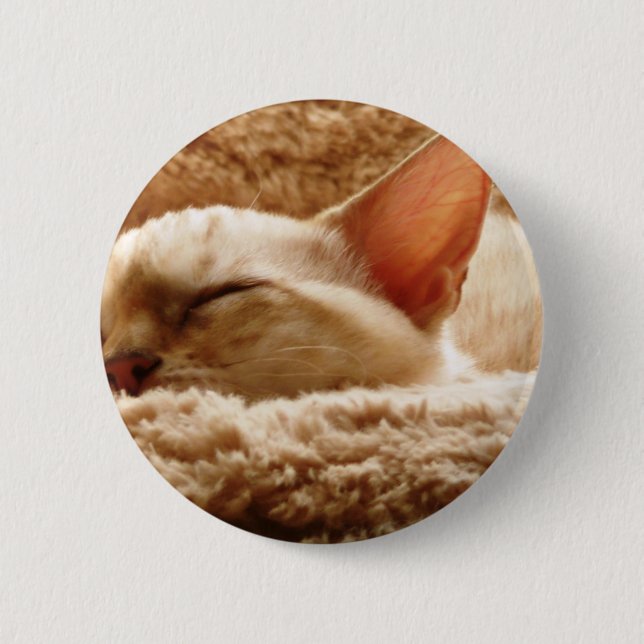 Macaron Rond 5 Cm Chat couché (Devant)