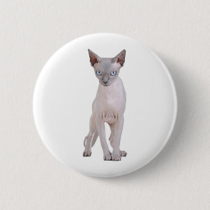 Macaron Rond 5 Cm Chat de Sphynx