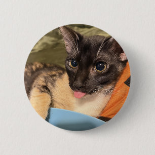 Macaron Rond 5 Cm Chat débile
