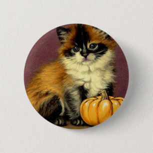 Macaron Rond 5 Cm Chat d'Halloween Ragdoll vintage
