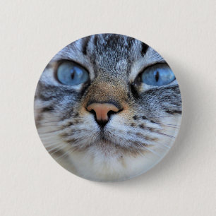 Macaron Rond 5 Cm Chat gris