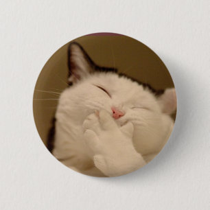 Macaron Rond 5 Cm Chat idiot Buton
