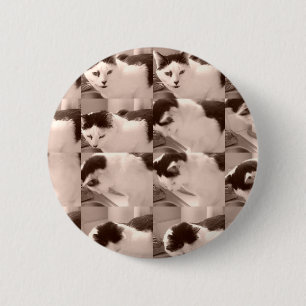 Macaron Rond 5 Cm Chat Kitty/Photo noir et blanc