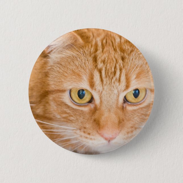 Macaron Rond 5 Cm Chat orange (Devant)