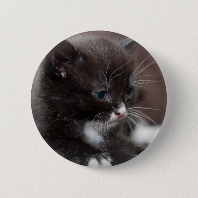 Macaron Rond 5 Cm Chaton (Devant)