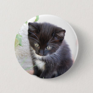 Macaron Rond 5 Cm Chaton noir et blanc