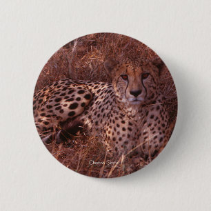 Macaron Rond 5 Cm Cheetah Stare