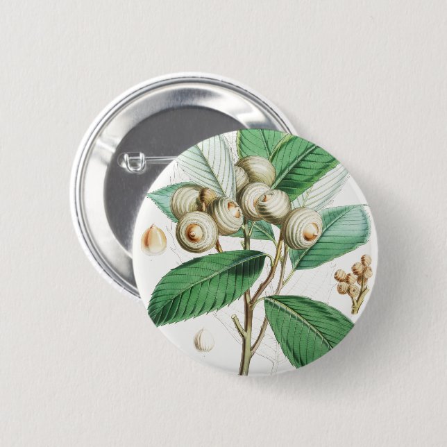 Macaron Rond 5 Cm Chêne vert (Devant & derrière)