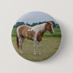 Macaron Rond 5 Cm Cheval
