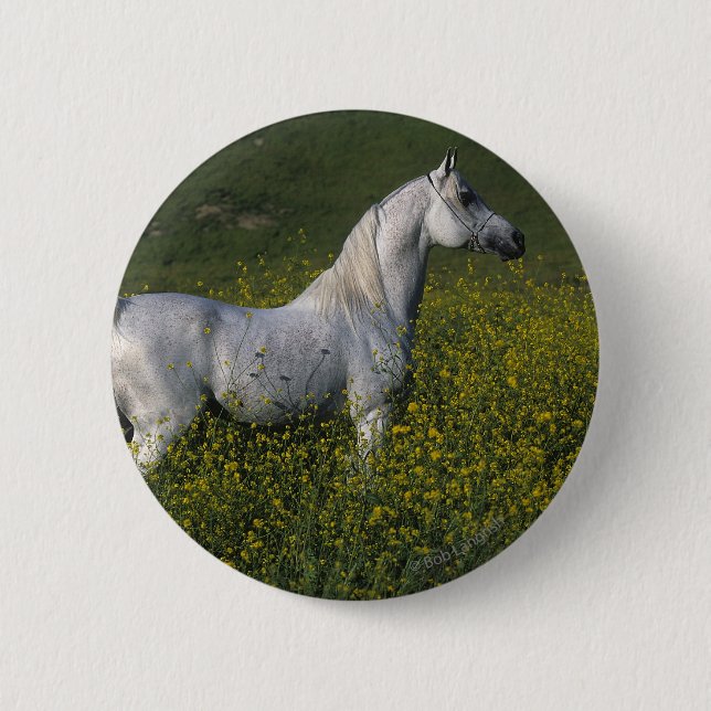 Macaron Rond 5 Cm Cheval arabe se tenant en fleurs (Devant)