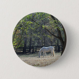Macaron Rond 5 Cm Cheval blanc dans les arbres