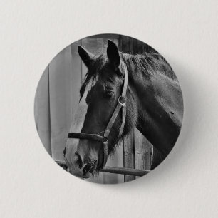 Macaron Rond 5 Cm Cheval blanc noir - Art de la photographie animale