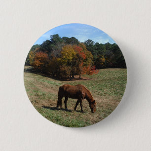 Macaron Rond 5 Cm Cheval Brown avec arbres à automne