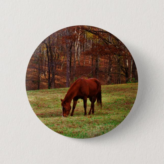 Macaron Rond 5 Cm Cheval Brown avec nez blanc au bord des bois (Devant)