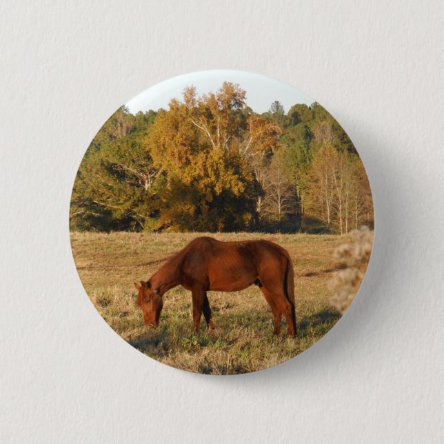 Macaron Rond 5 Cm Cheval Brown dans le champ d'arbre jaune (Devant)