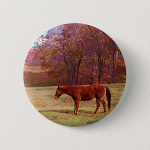 Macaron Rond 5 Cm Cheval Brown dans un champ d'herbe
