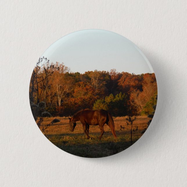 Macaron Rond 5 Cm Cheval Brown rouge, bois d'automne. (Devant)