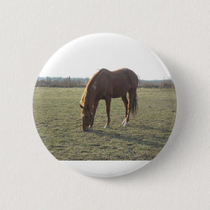 Macaron Rond 5 Cm Cheval couleur châtaignier