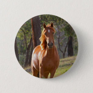 Macaron Rond 5 Cm Cheval dans les bois