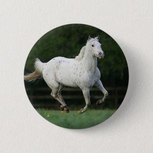 Macaron Rond 5 Cm Cheval d'Appaloosa courant 1