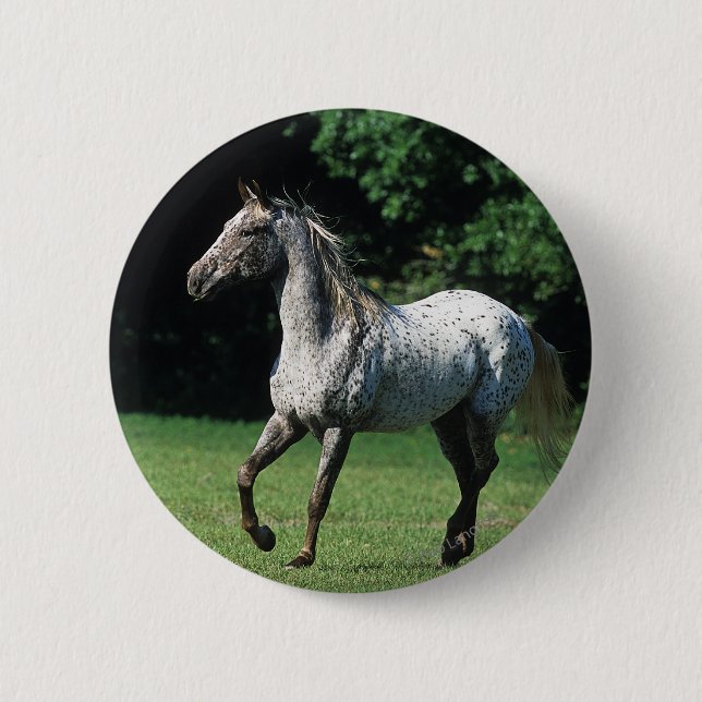 Macaron Rond 5 Cm Cheval d'Appaloosa courant 2 (Devant)