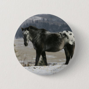 Macaron Rond 5 Cm Cheval d'Appaloosa dans la neige