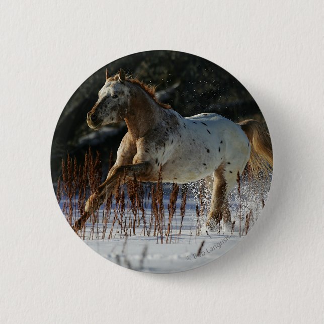 Macaron Rond 5 Cm Cheval d'Appaloosa fonctionnant dans la neige (Devant)
