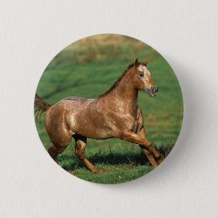 Macaron Rond 5 Cm Cheval d'Appaloosa fonctionnant dans le domaine