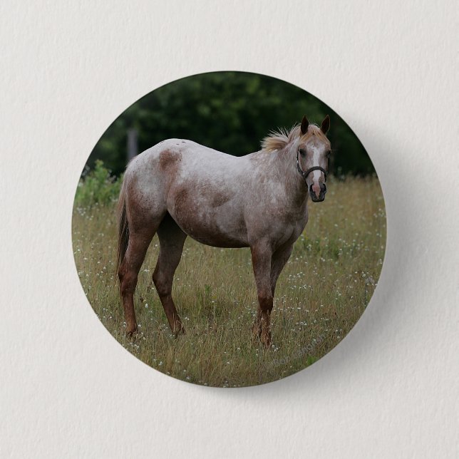 Macaron Rond 5 Cm Cheval d'Appaloosa se tenant dans l'herbe (Devant)