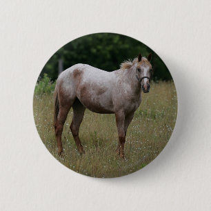 Macaron Rond 5 Cm Cheval d'Appaloosa se tenant dans l'herbe