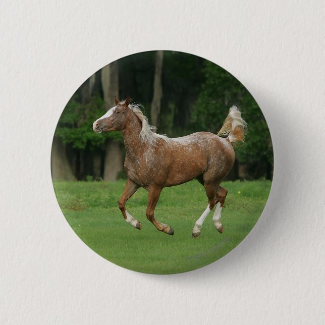 Macaron Rond 5 Cm Cheval de l'Appaloosa (Devant)