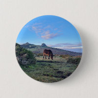 Cheval de pénis Dartmoor sauvage