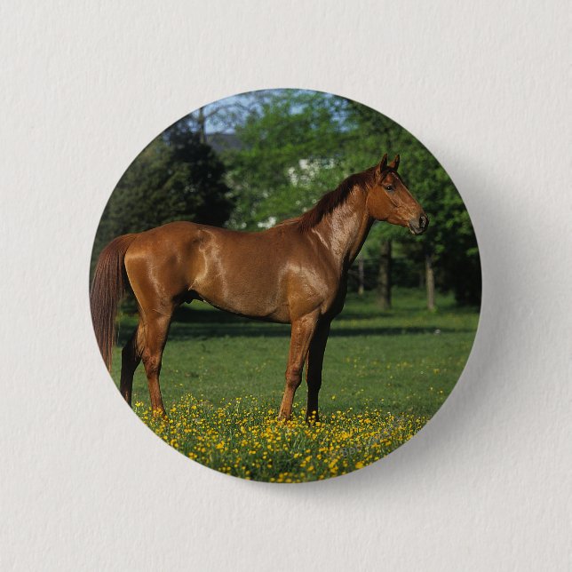 Macaron Rond 5 Cm Cheval de pur sang en fleurs (Devant)