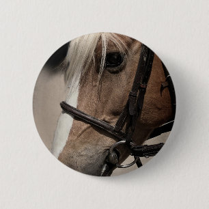 Macaron Rond 5 Cm Cheval Palomino en Bridle