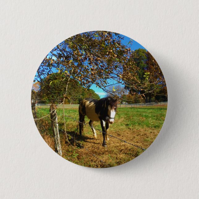 Macaron Rond 5 Cm Cheval Peint, (Devant)