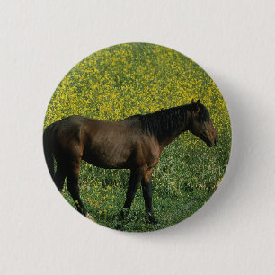 Macaron Rond 5 Cm Cheval sauvage de mustang se tenant en fleurs