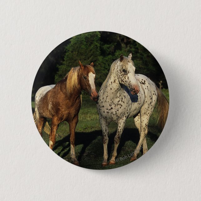 Macaron Rond 5 Cm Chevaux d'Appaloosa (Devant)
